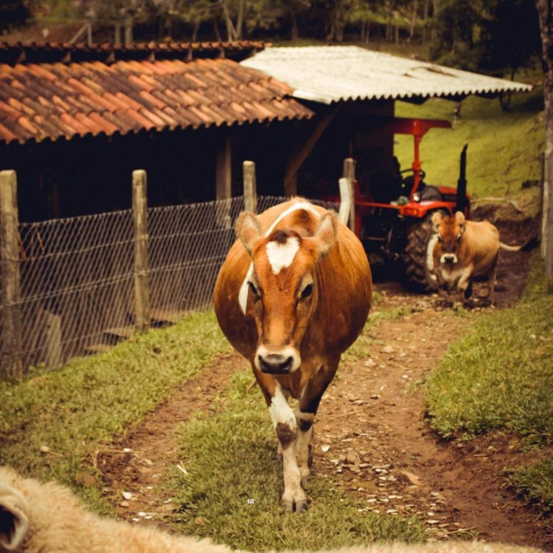 Hotel Bangalos Da Serra Gramado