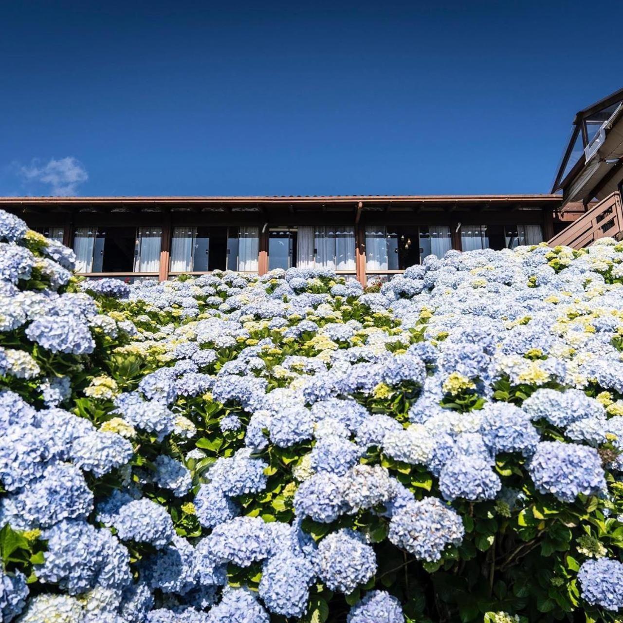Hotel Bangalos Da Serra 4*